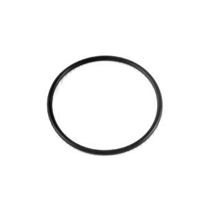 TRACTION CONTROL TO THROTTLE O-RING
