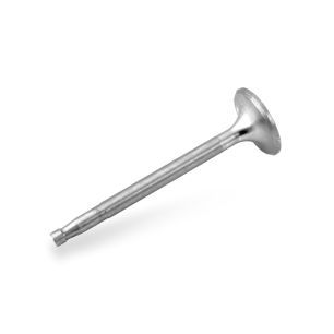 EXHAUST VALVE