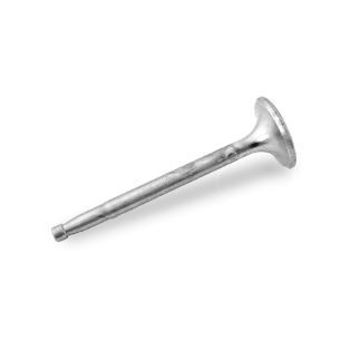 EXHAUST VALVE