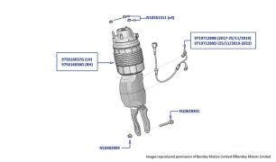 Front Air Spring, New Continental GT & New Continental Convertble (2018-2023)