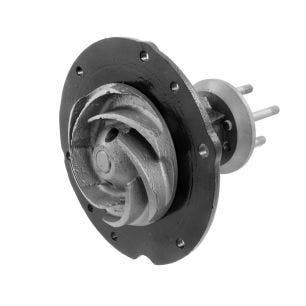 ASSY IMPELLOR COOLANT PUMP