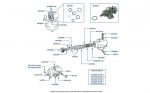 Accumulator Valves & Components chassis numbers 20754-41648