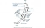 Front Bumper chassis numbers 01001-26708 (Bumper & Fittings)