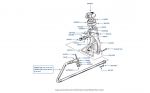 Oil Filler & Breather chassis numbers 01001-02389 (no air conditioning)