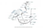 Spare Wheel Carrier, chassis 50000-50757 & 01557-05036
