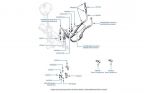 Hoses, Pipes & Steering Cooler, chassis numbers 01001-06428 (Hobourn-Eaton Steering Pump)
