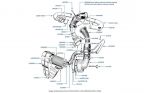 Air intake chassis numbers 08742-14542