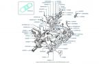 Intake Manifold & Tee Piece chassis numbers 07552-08697
