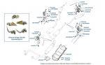 Exhaust Hangers, 5-Box System, chassis numbers 01001-16970