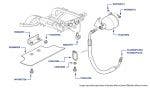 Gas Springs, Arnage R (chassis 08323-10100), Arnage RL (chassis 19150-19300) & Arnage T (chassis 08200-10109)