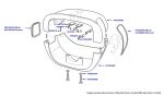 Steering Column Cowling, Silver Seraph, Silver Seraph LOL & Park Ward